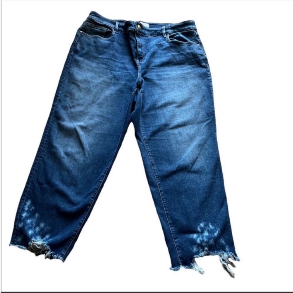 Lane Bryant Jeans